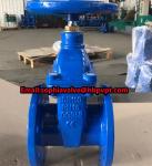 GGG50 resilient seal BS gate valve