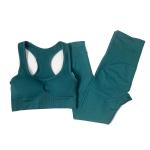 Wholesale Custom Seamless High Waist Yoga Leggings Sports Bras 2 Pieces Fitness