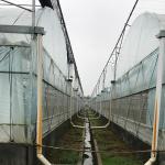 Customizable Temperature-Controlled Greenhouse for Large-Scale Plant Cultivation