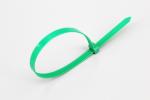 DM-4*100mm DEMOELE famous nylon self locking cable ties