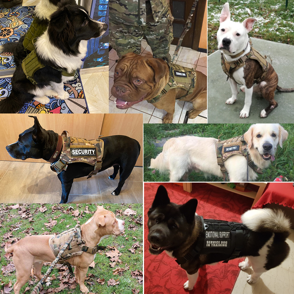 Tactical Dog Harness Heavy Duty Neoprene Custom Logo No Pull Design Reflective Leash Active Pets