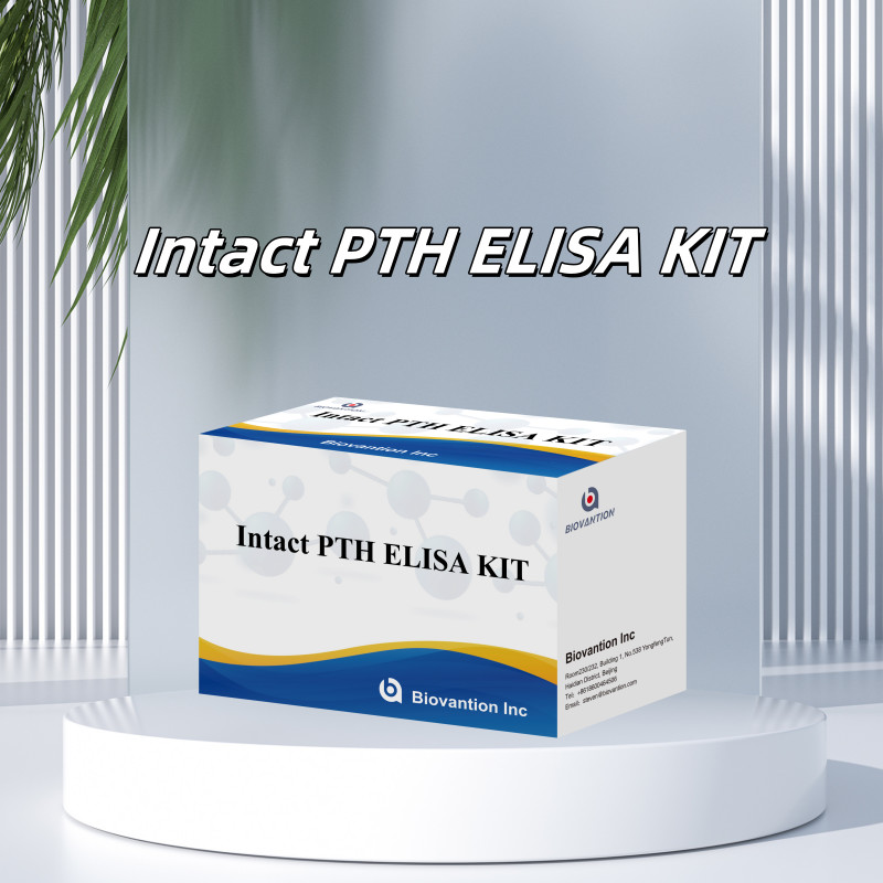 Detection Kit For Intact PTH For Human Detect Reagent For Human Serum Plasma