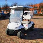 48 Volt Electric 2 Seater Golf Cart Buggies white All Wheel Drive