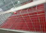 3 Tier 4 Doors A Frame Layer Cages / Q235 Chicken Battery Cage