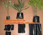 Horticulture, NURSERY, PLANTER, SEED, PLASTIC GROW BAGS, HYDROPONICS, FLOWERPOTS