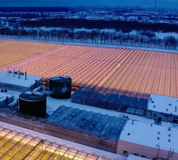 Customization Snow Vibrator Greenhouse for Tomato Planting Request Your