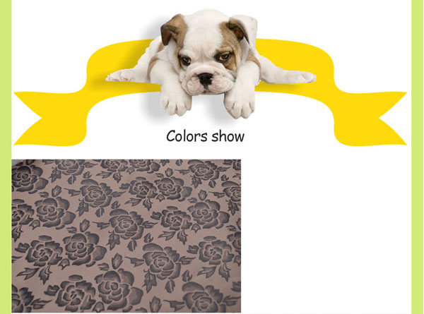 pet heating pad