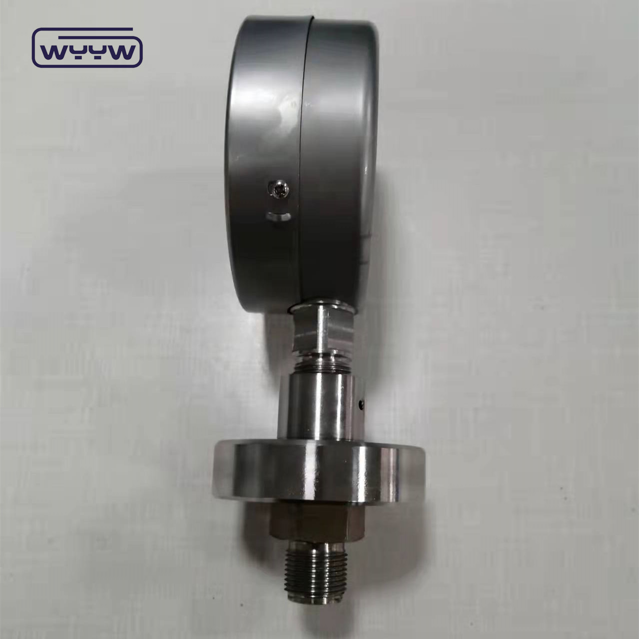Direct Bottom Mounting Diaphragm Pressure Measuring Device 1/4 1/2" Inch NPT BSP Connection Size