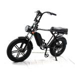 Full Suspension Rear Hub Motor Electric Bike With 48v 1000w Power And REMOVABLE