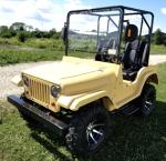 4 Wheel Hydraulic Disc Brakes 8.7 HP 200cc Go Kart Buggy