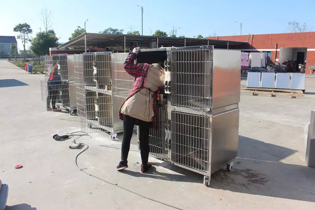 Four Cages Stainless Steel Pet Cages 1220 * 690 * 1560mm For Pet Boarding