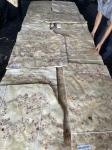 High Quality Mappa Burl Veneer Sheet For Furniture Decoration
