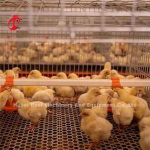 Quality Hightop Chick Brooder Chicken Cage Of Poultry Chicks Ada wholesale