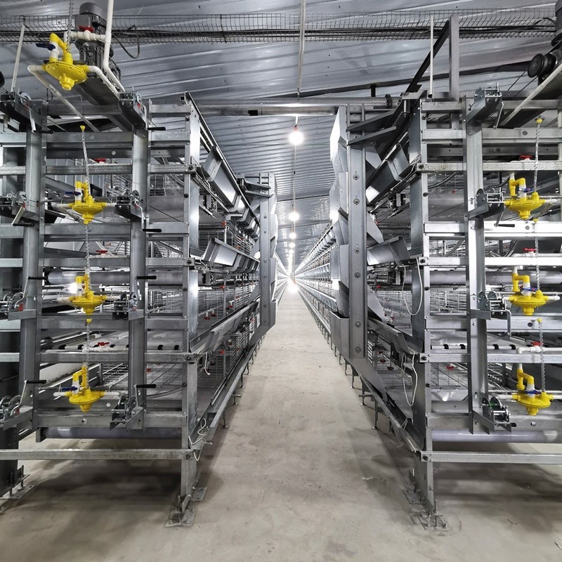 Q235A Baby Broilers Chicken Cage 100*100*220cm Fully Automatic
