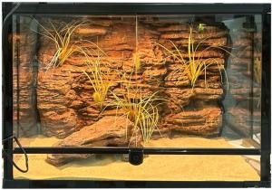 Quality Natural Looking Reptile Enclosure Background Anti Corrosion Lizard Cage Backgrounds wholesale