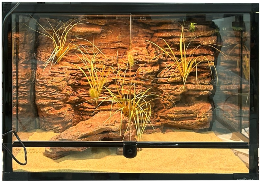 Decorative Vivarium Rock Background Moisture Proof For Climbing Pet