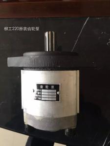 Quality Hydraulic Gear Pump LIUGOGN220 excavator wholesale