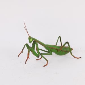 Quality Small Iron Vivid Insect Lawn Decorations Metal Garden Decorations wholesale
