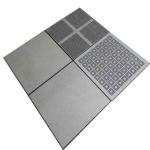 Ventilated Raised Access Floor for Computer Room