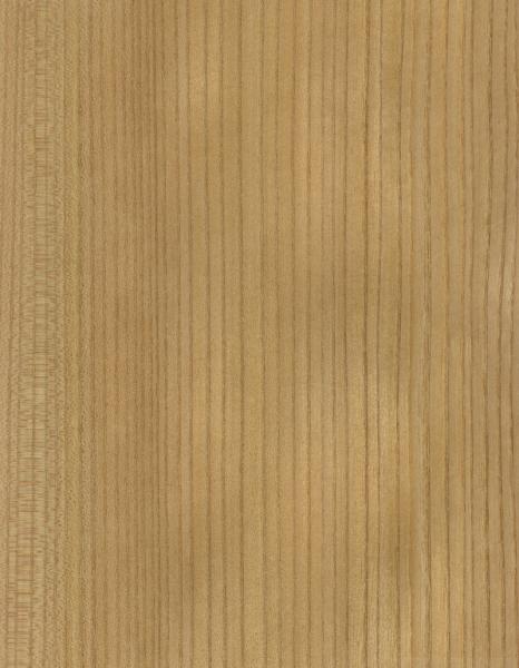 Solid Wood American Elm Sheets Grade A For Quarter Cut Crown Grain Natural Color