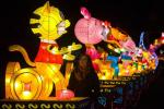 Animal Shaped Electric Chinese Lanterns , Large LED Lantern Lights
