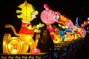 Quality Animal Shaped Electric Chinese Lanterns , Large LED Lantern Lights wholesale