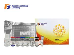 Quality 96 Wells Human ELISA Sandwich Assay Kit 1.75μG/Ml Sensitivity CE ISO9001 wholesale