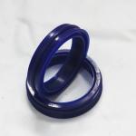 75 Hardness EU Material Type Auto Pneumatic Rotary Piston Seals for Speed