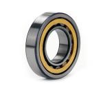 NU1020 Miniature Cylindrical Roller Bearings Nu Nj Nup For Machinery Equipment