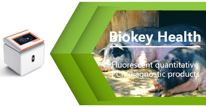 African Swine Fever Porcine Test Kit ASFV Real Time PCR Rapid Test Kit