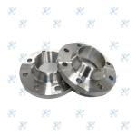 Provide various standard stainless steel and carbon steel welding neck flange