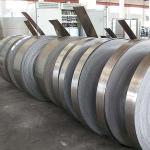 UNS S31803 Annealed 3/4 Hard Tempered Duplex Steel Strips For Marine