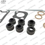 Full Gasket Kit Iron 3TN74