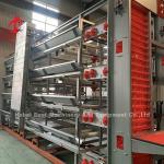 Hot Dip Galvanized White Poultry Cage System Large Capacity Layer Farm Cages