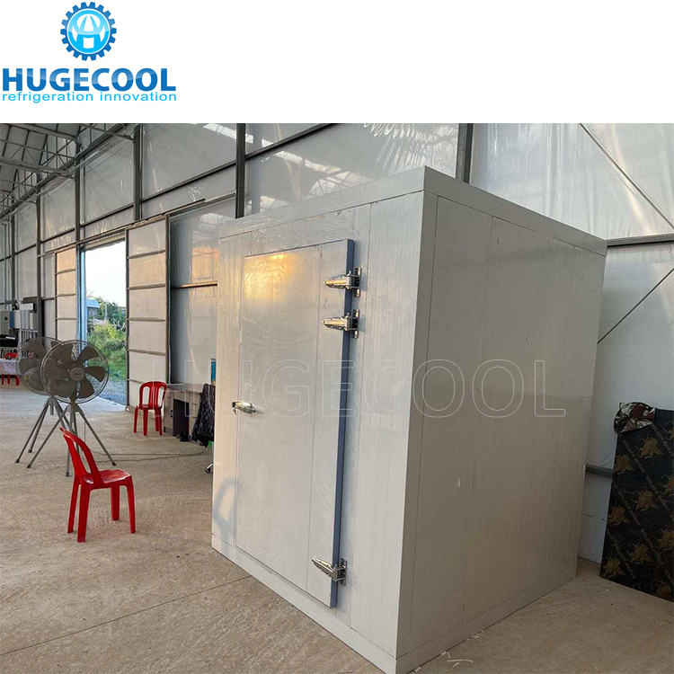 Cold Storage Room Hinged Door Swing Door Double Open