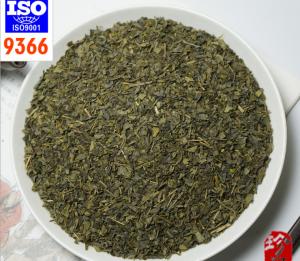 Quality Chunmee green tea 9366 wholesale