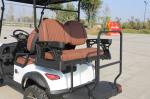 Long Range 4 Wheel 4 Seater Golf Cart Electric Club Drive Lithium Buggy Street