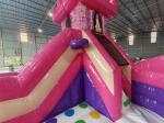 Tarpaulin Inflatable Jumping House Princess Cartoon Inflatable Bouncer With