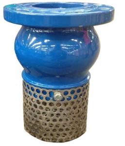 Quality DIN foot valve wholesale