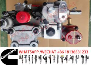 Quality Cummins Injection Pump 4951501 3262033 3045281 4951501 NTA855/N14 Engine wholesale