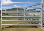 Metal Cattle / Horse Fence Panels / Portable Corral Panels Corrosion Resistant