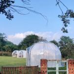 Aluminium Frame 6m Glass Dome House Glamping Glass Dome Tent With Bathroom