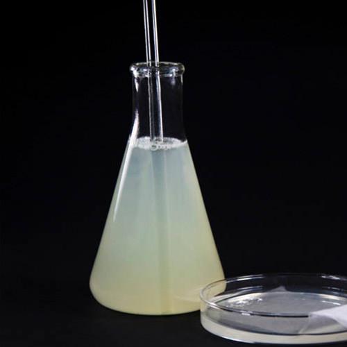 Soft Coating Raw Materials Waterborne Self Crosslinking Polyurethane Dispersion