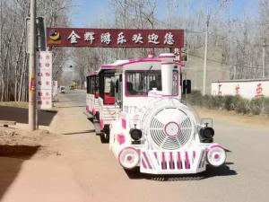 Quality 42 Seats Electric Trackless Train Electric Sightseeing Car Regent Style wholesale