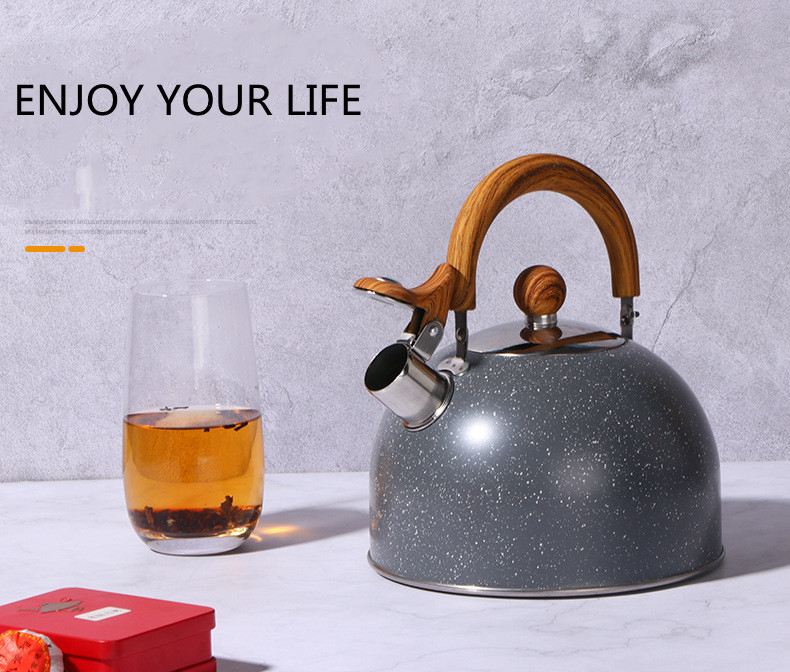 Household stainless steel electric OEM tea pot hot water whistling kettle