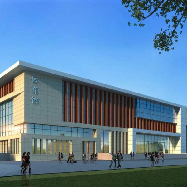 Cheap Large Span Steel Structure Gymnasium Prefabricated Design for sale