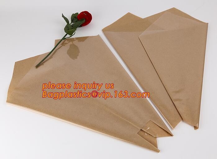 Biodegradable Resealable Clear Plastic Cd Sleeves album Packaging Bags,CD bag PP bag CD protective film for disk bag pac