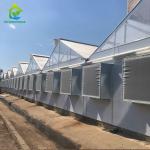 PE Film 220V Auto Light Dep Greenhouse 100% Blackout High Tunnel Greenhouse