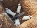 Backfill Magnesium Anodes With AWG PVC / XLPV Cable For Oil Pipelines Cathodic