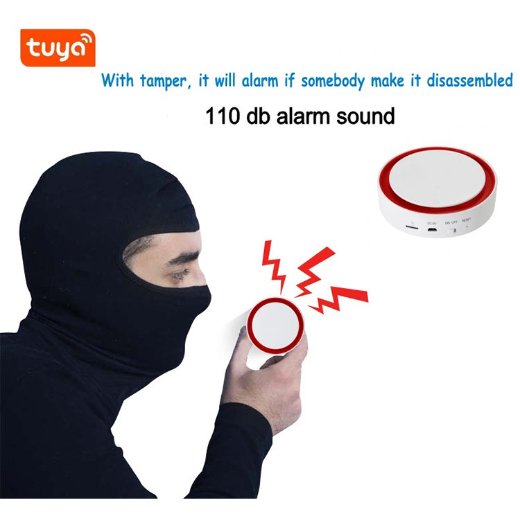 Smart Gsm Alarm System Wireless Homesafe Security System With 433mhz Sensors
